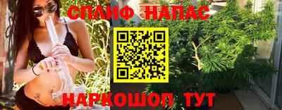 гидра Берёзовский