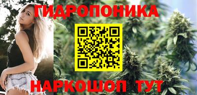 гидра Берёзовский