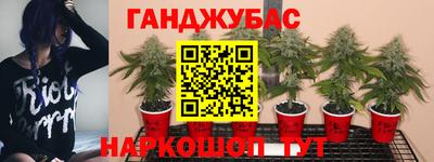 гидра Берёзовский