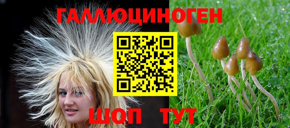 Галлюциногенные грибы ЛСД Горно-Алтайск