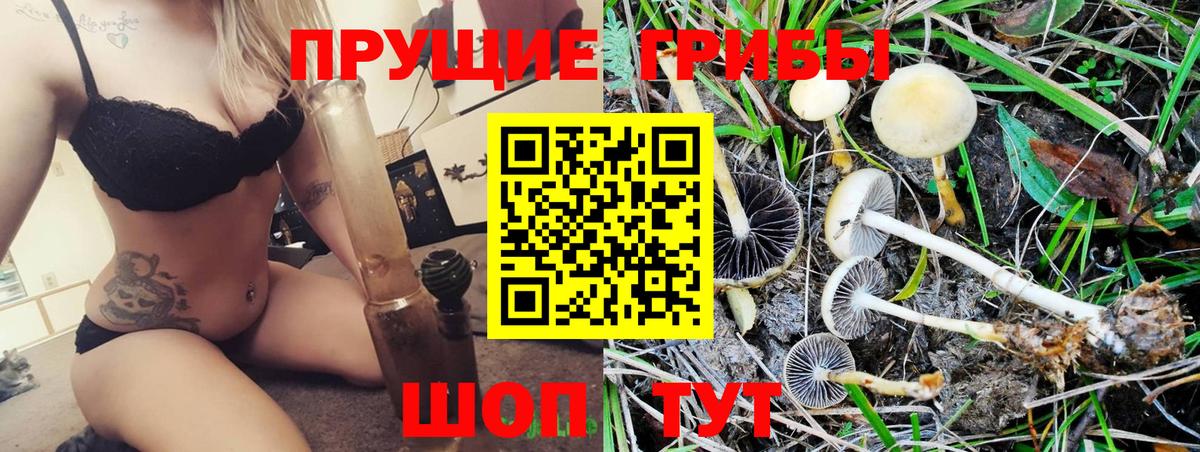 Псилоцибиновые грибы мицелий  Галлюциногенные грибы Psilocybe  Вход с VPN  Горно-Алтайск 